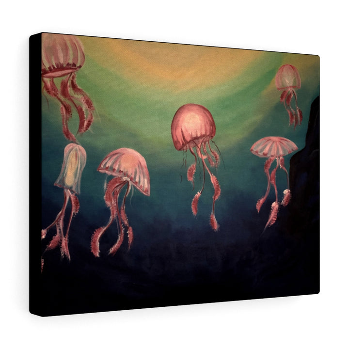 Pink Jellyfish