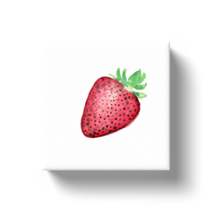 Vintage Strawberry Mini Canvas